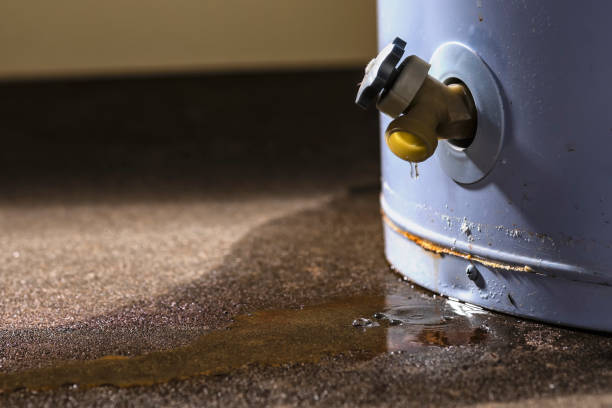 Best Water damage restoration near me  in Central Square, NY