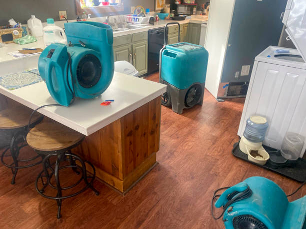 Best Flood damage cleanup  in Central Square, NY