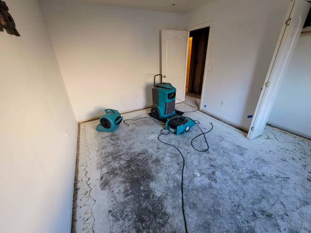 Best Water damage contractors near me  in Central Square, NY