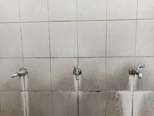 Best Local water damage restoration  in Central Square, NY