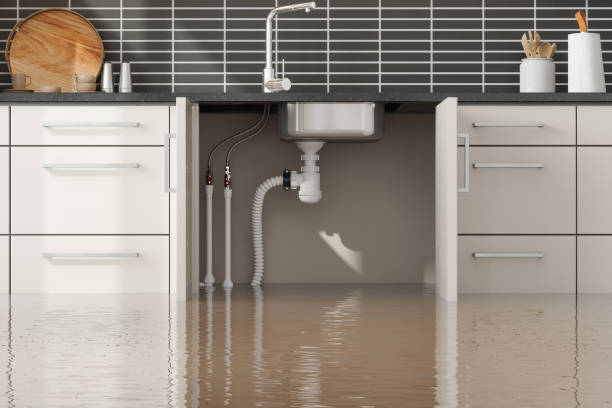 Best Mold removal after water damage  in Central Square, NY