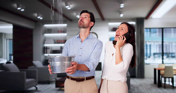 Best Water damage cleanup near me  in Central Square, NY