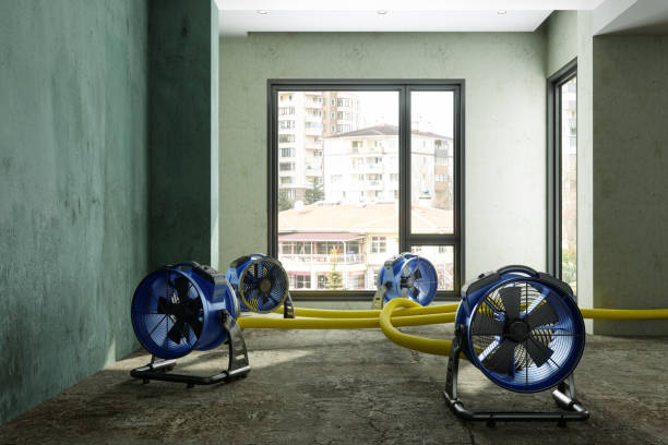 Best 24/7 water damage repair  in Central Square, NY